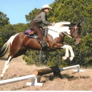 Meet your Posher, Kadi